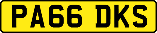 PA66DKS