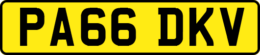 PA66DKV
