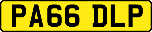 PA66DLP
