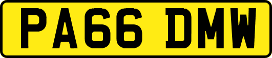PA66DMW