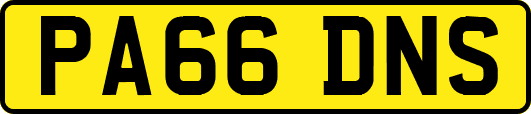 PA66DNS