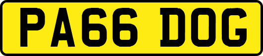 PA66DOG