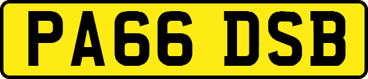 PA66DSB