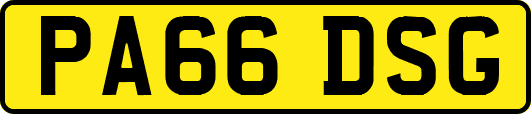 PA66DSG