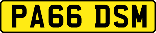 PA66DSM