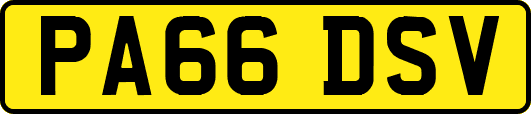PA66DSV