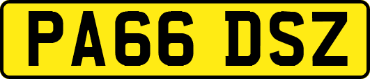 PA66DSZ