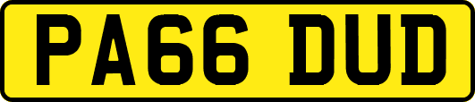 PA66DUD