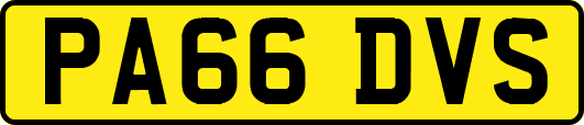 PA66DVS