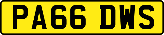 PA66DWS