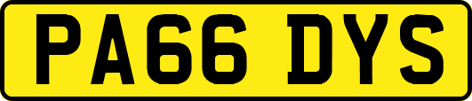PA66DYS