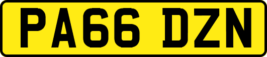 PA66DZN