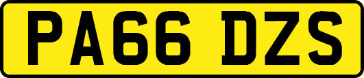 PA66DZS