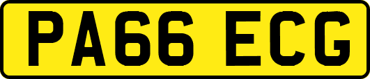 PA66ECG