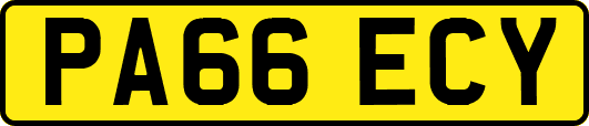 PA66ECY