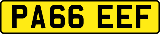 PA66EEF