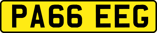 PA66EEG