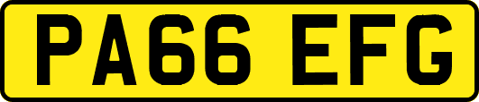 PA66EFG