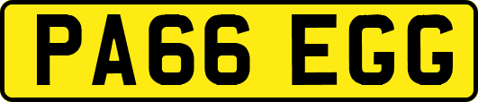 PA66EGG