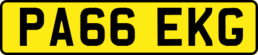 PA66EKG