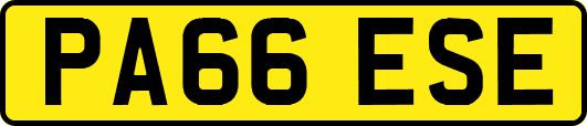 PA66ESE