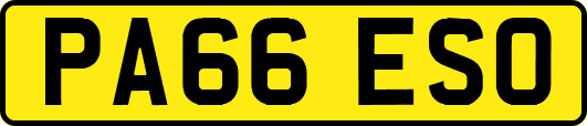 PA66ESO