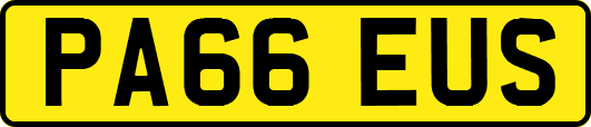 PA66EUS