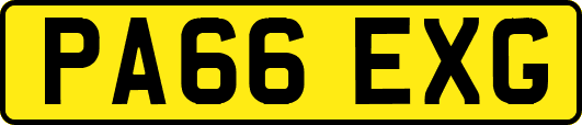 PA66EXG