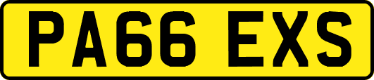PA66EXS