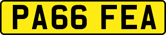 PA66FEA