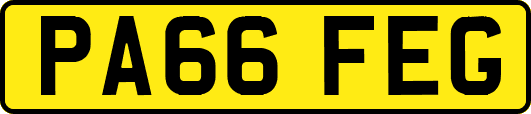 PA66FEG