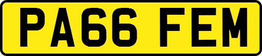PA66FEM