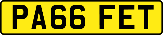 PA66FET