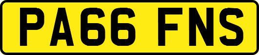 PA66FNS