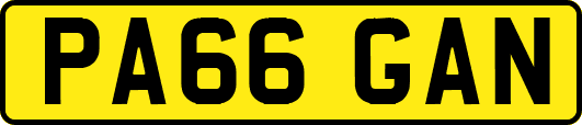 PA66GAN