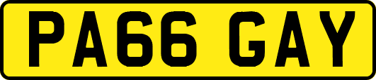 PA66GAY