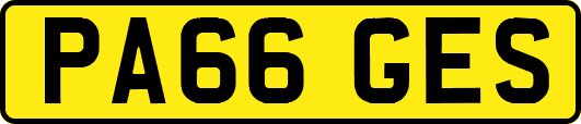 PA66GES