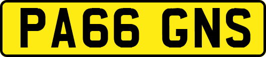 PA66GNS