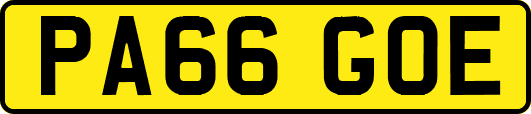PA66GOE