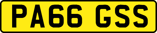 PA66GSS