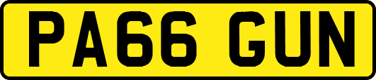 PA66GUN