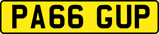 PA66GUP