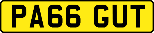 PA66GUT