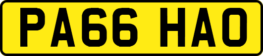 PA66HAO