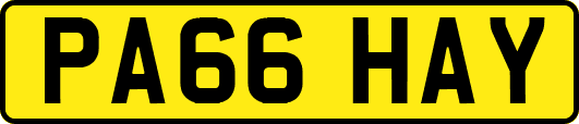 PA66HAY