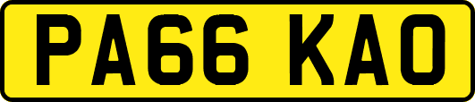 PA66KAO