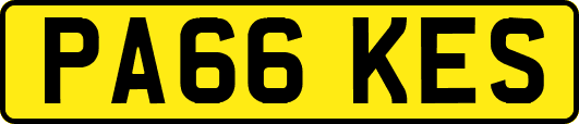 PA66KES