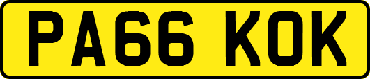 PA66KOK