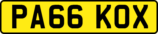 PA66KOX