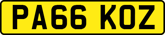 PA66KOZ